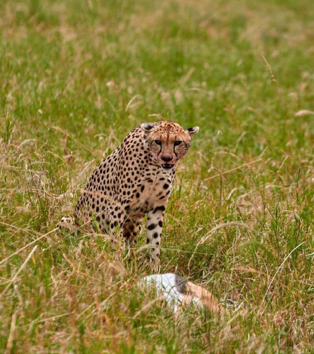 WhatsApp Image 2026-03-07 at 17.07.02