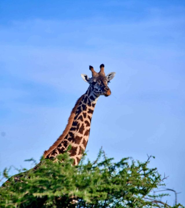 WhatsApp Image 2026-03-07 at 18.48.45