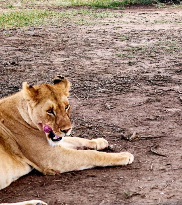 WhatsApp Image 2026-03-09 at 17.28.17